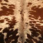 Real Genuine Brown Speckled Salt and Pepper Cowhide Rug 6x6 Large Modern Living Room Area Rug Natural Leather Hair On Cheap Brazilian Brindle Hung on Wall Bedroom Cheap Cowhide Rug Sale